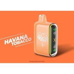 Vape Gang MEGA 20,000 puffs Disposable Vape (Box of 5) 6006N55 Havana Tobacco - Vape Gang Disposables