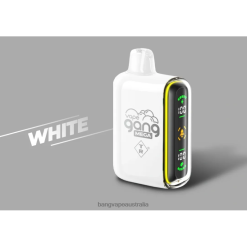Vape Gang MEGA 20,000 puffs Disposable Vape (Box of 5) 6006N60 White - Bang Vape Puffs