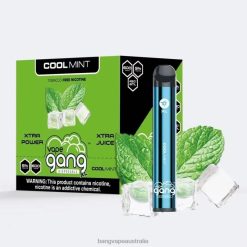 Vape Gang XL Disposable Vapes 600 puffs (Box of 10) 6006N79 Cool Mint - Vape Gang Flavors
