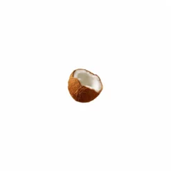 Coconut TFA Natural Light Coconut Blend