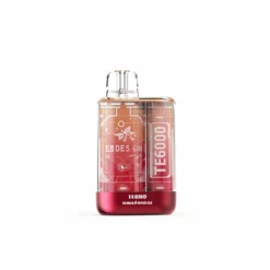 EB TE6000 Mesh Coil Disposable Vape