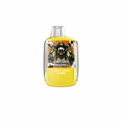 Lost Vape OB5500 Mesh Coil Disposable Vape 5500 Puffs
